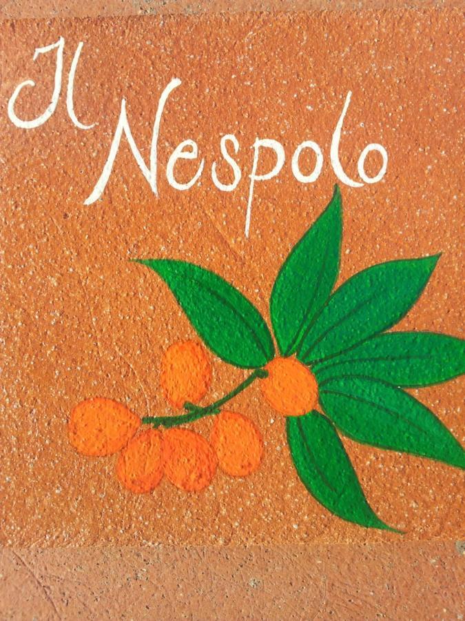 Appartamento Il Nespolo Pomonte Bagian luar foto